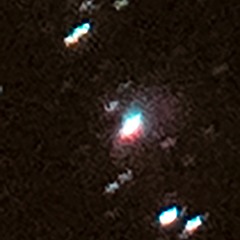 Orion