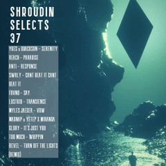 Shroudin Selects #37