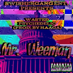 "WASTED-/-PSYCHADELIC" (PROD. BY. HAAGA)