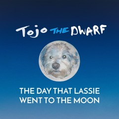 The Day That Lassie Went To The Moon (Camper Van Beethoven Cover)