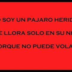 hola soledad rolando la serie