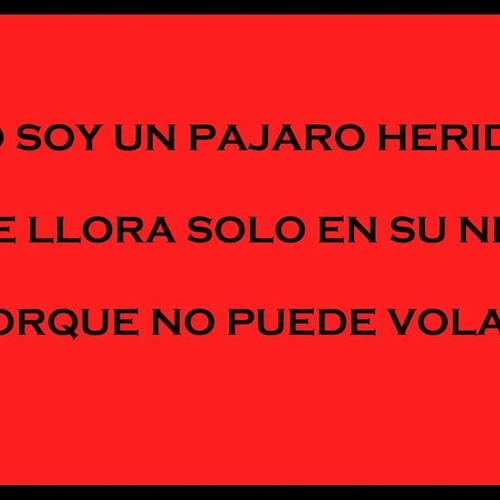 hola soledad rolando la serie