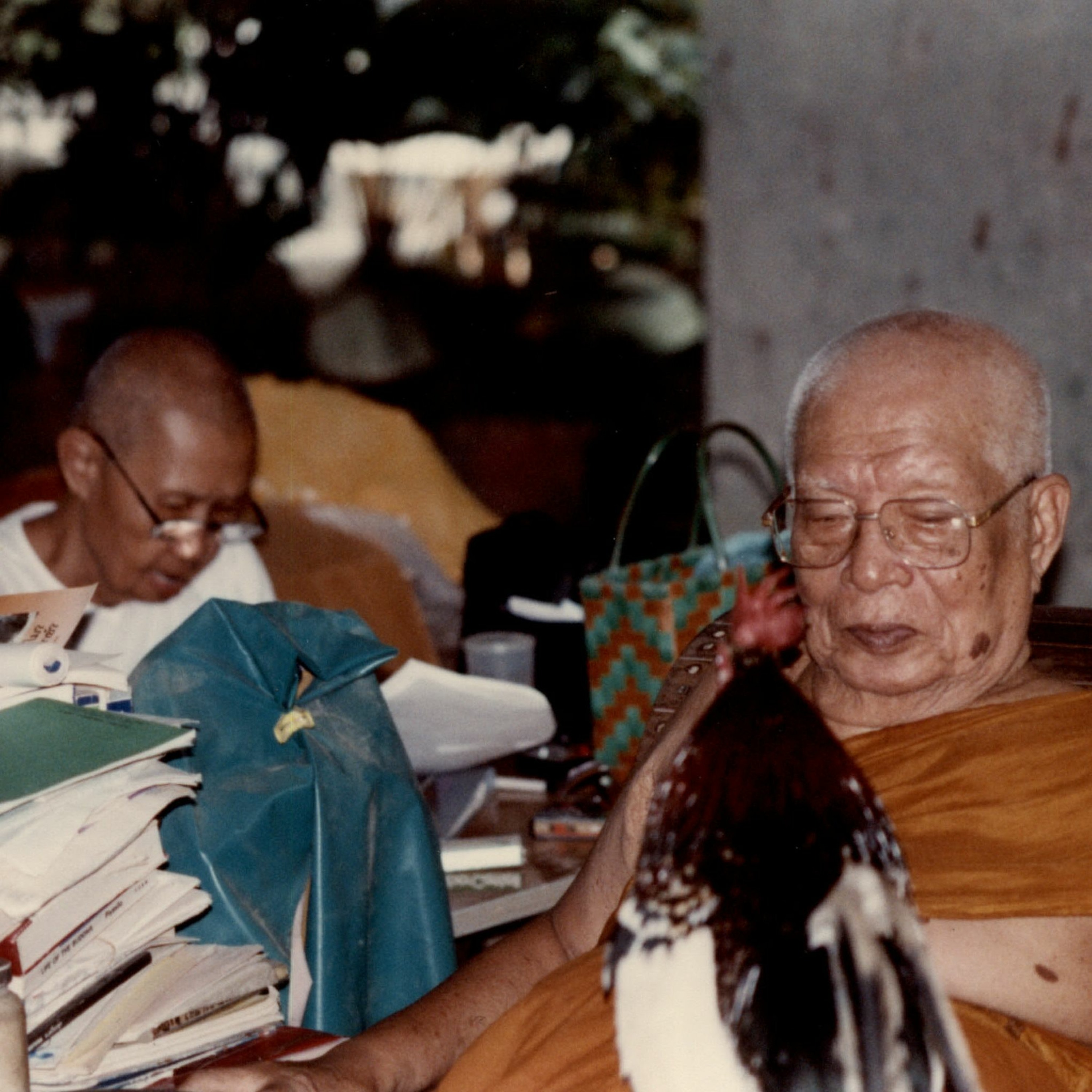 9105 (2) The Five Khandhas Are Anattā