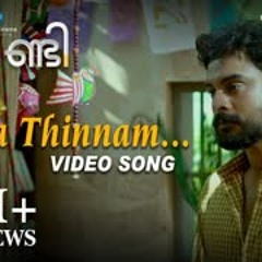 Theevandi Movie Song Thaa Thinnam Video Song Tovino Thomas Kailas Menon August Cinemas