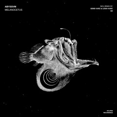 ABYSSVM - Barracuda (Original Mix)