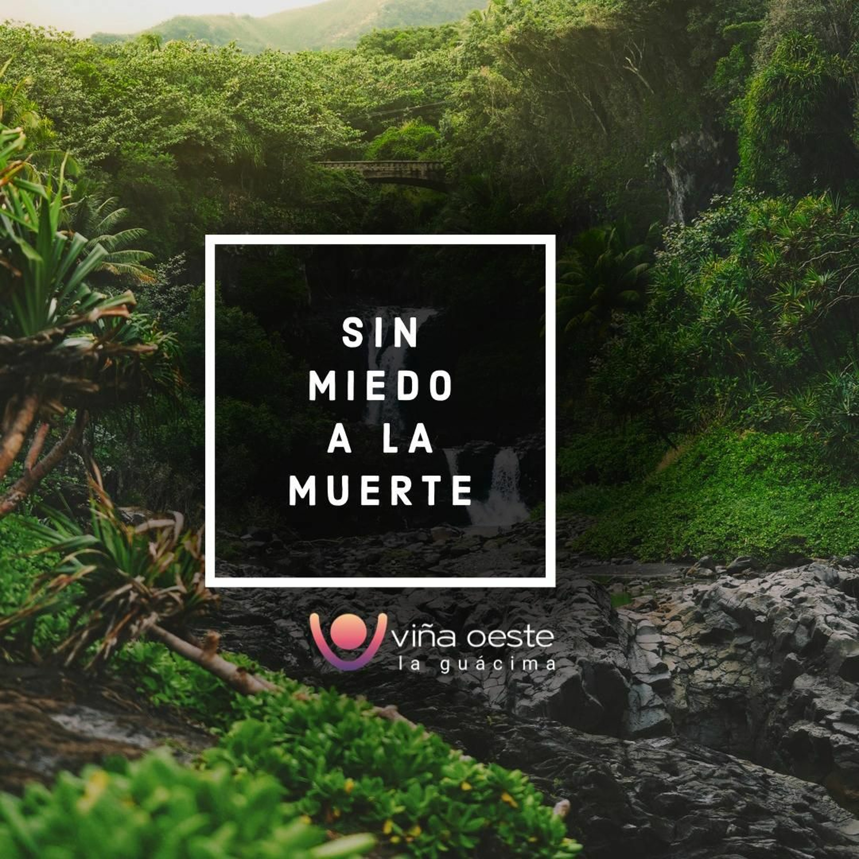 Viña Oeste La Guácima
