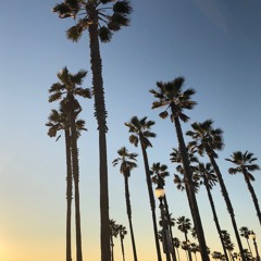 Everywhere (Feat. Willy G, Mak Godden & Katana Natasha)