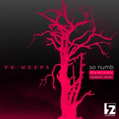 So Numb (DJ EKL Remix)
