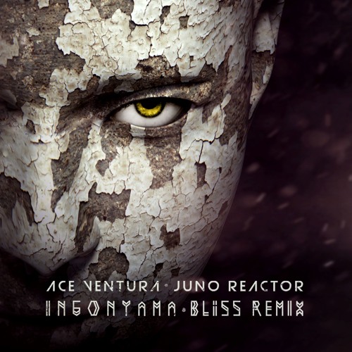 Ace Ventura & Juno Reactor - Ingonyama (BLiSS Remix) SAMPLE