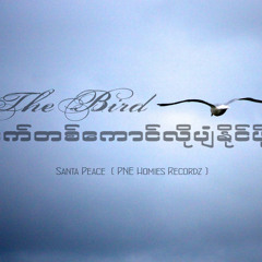 The Bird - Santa Peace