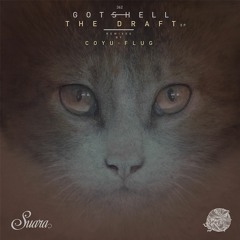 [SUARA362] Gotshell - 19 Caracteres (Flug Acid Remix) Snippet