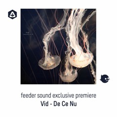 💥 feeder sound exclusive premiere: Vid - De Ce Nu