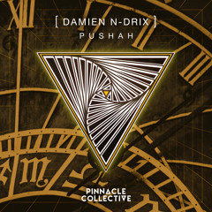 Pushah - Damien N-Drix Remix ( upload T-Tey )
