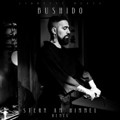 Bushido - Stern am Himmel (Audio) (Remix) (Remake 2019)