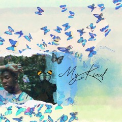 My Kind (Hilary Duff Re-Work)