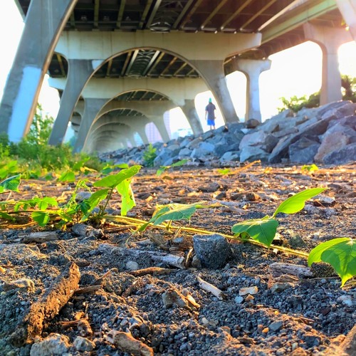 Overpass EP