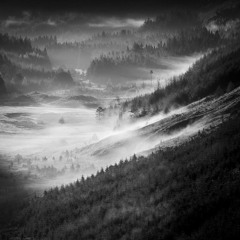 my version of Noble Maiden Fair (A Mhaighdean Bhan Uasal) from "Brave"