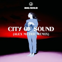 Big Wild - City Of Sound (Alex Metric Remix)