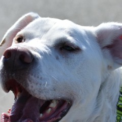 Talk - Khalid (REMIX)