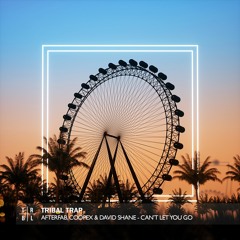 Afterfab, Coopex & David Shane - Can't Let You Go