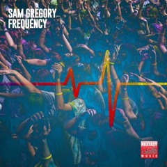 Sam Gregory - Frequency (Fred Spiders Remix) Preview