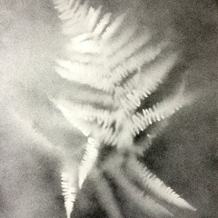 Bleed (demo) ft. Mr Hawk