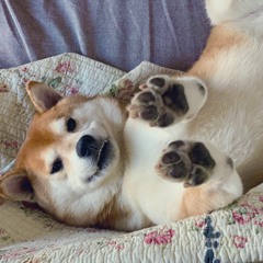 xarlable set but i'm on a bit of a techno mood