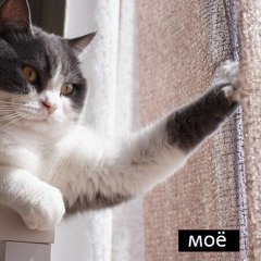 на фоне играет релакс чил лоу р энд би