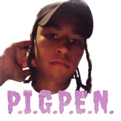 P.I.G.P.E.N.