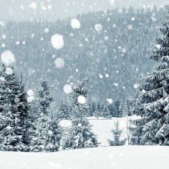 I'm not your type ~ Snow