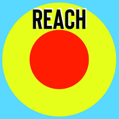 Reach (dego & lord remix)