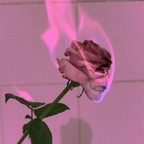 90sFlav C a l l m e
