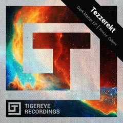 Tezzerekt - To The Moon (Original Mix)