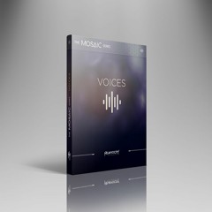Best Of Both Worlds - Adam Hanley (Mosaic Voices + C-Tools)