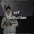 Artwork for Self Distruction (prod. VENXM)