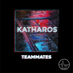 01 - Teammates