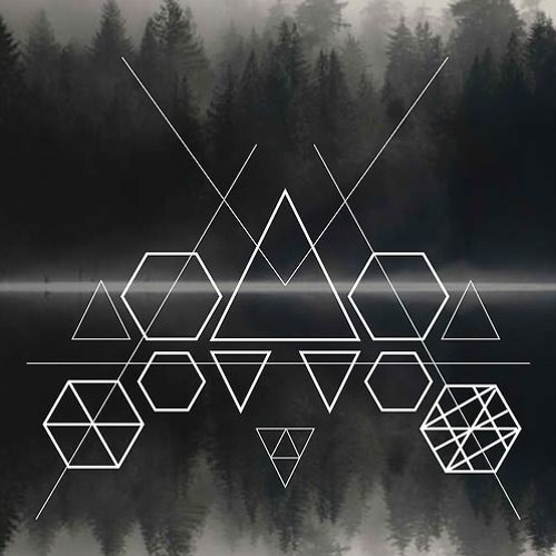 Venae - Metsänpeitto