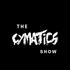 The Key to Success on Spotify with Budi Voogt | The Cymatics Show #002