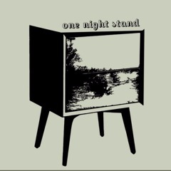One Night Stand