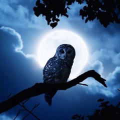 Beethoven - Moonlight Sonata 1st Movement