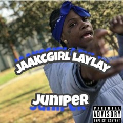 Jaakcgirl LayLay (Juniper)