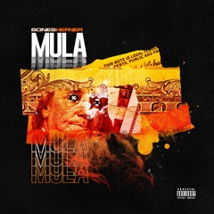 MULA