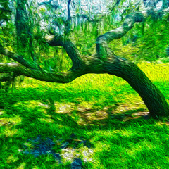 A Long Road to Freedom