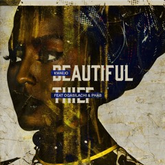 Beautiful Thief Ft. Ogasilachi & Phab (Prod. Majestic Drama)