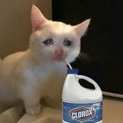 katrinas sad nibba hours