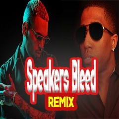 Chris Brown Ft Rob Williams - Speakers Bleed