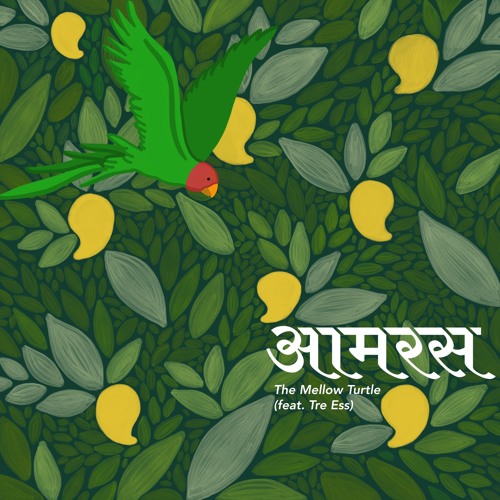 The Mellow Turtle - Aamras (ft. Tre Ess)