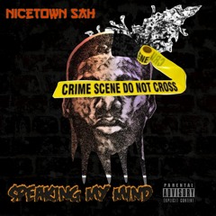 NiceTown Sah - Speaking My Mind