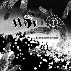 Say Hello, Wave Goodbye Soft Cell cover by People Theatre & Indie Moon