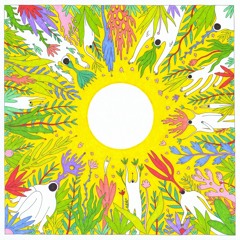 Ditti - Joul